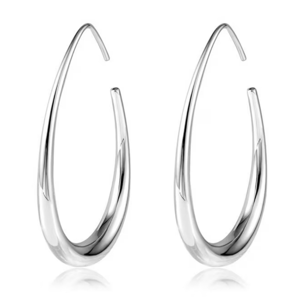 Silver Plated Oval Drop Earrings NWOT